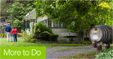 more-to-do