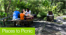 places-to-picnic